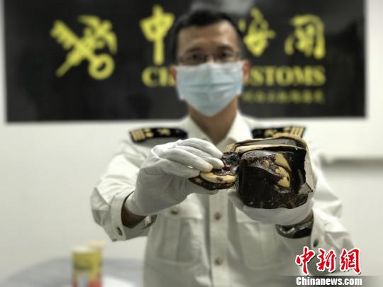 巧克力里“长出”象牙广州海关连查携濒危物种制品入境案