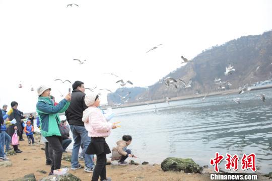 大海、蓝天、白云、海鸟勾画出一副美丽怡人的画卷。　杨毅 摄