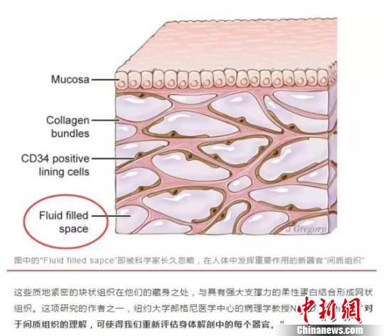 专家谈科研新发现：从空间角度审视生命与疾病